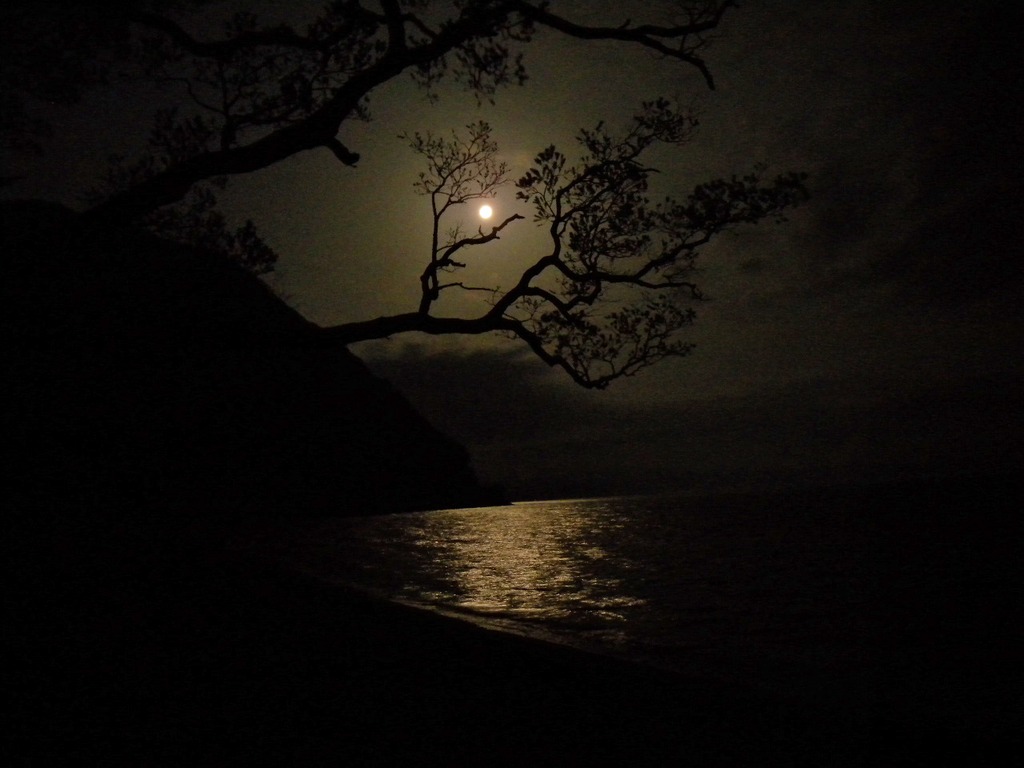 夜の猪苗代湖。