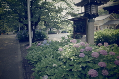 護国神社にて