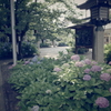 護国神社にて