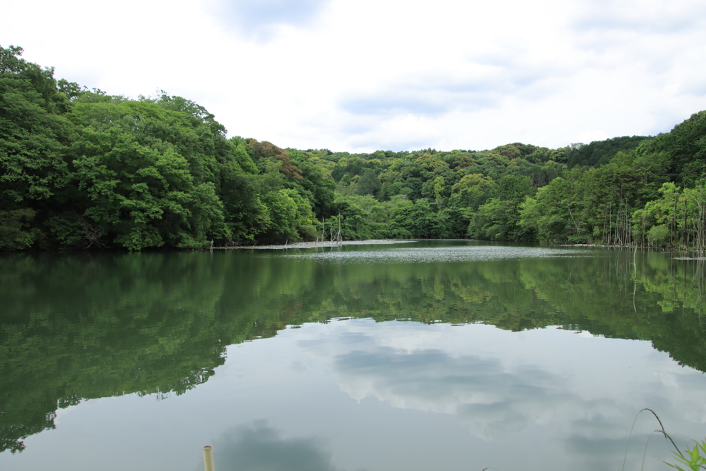 小呂池にて