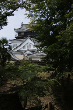 岡崎公園