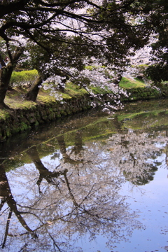 岡崎公園にて