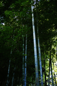 安城市　丈山苑