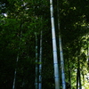 安城市　丈山苑
