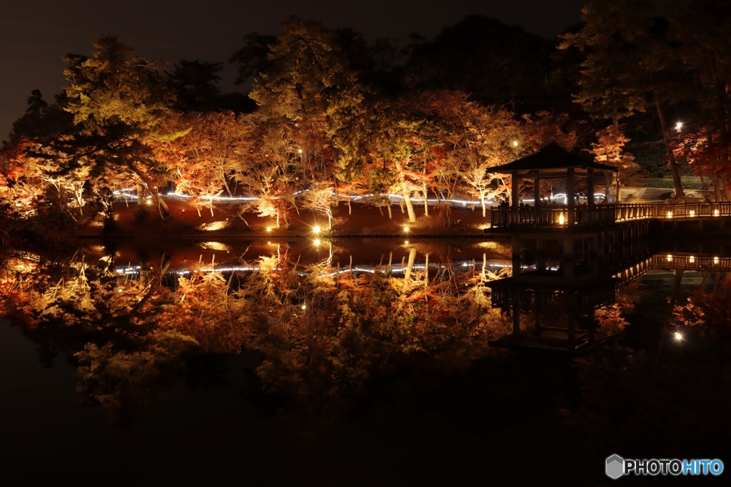 東公園紅葉まつりライトｱｯﾌﾟ