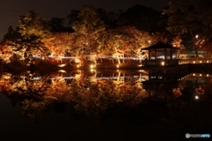 東公園紅葉まつりライトｱｯﾌﾟ