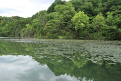 小呂池にて