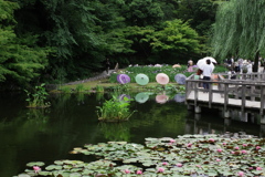 徳川園にて