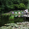 徳川園にて