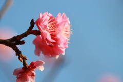 岡崎市 南公園にて