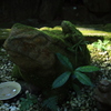 猿田彦三河神社にて