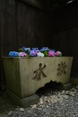 花手水