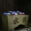 花手水