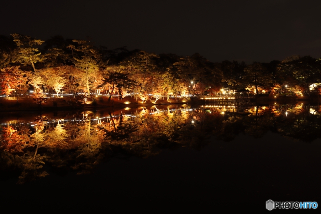 東公園紅葉まつりライトｱｯﾌﾟ