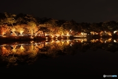 東公園紅葉まつりライトｱｯﾌﾟ