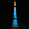 東京タワー ダイヤモンドヴェール