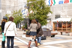 3359657603_f074a650a7_b