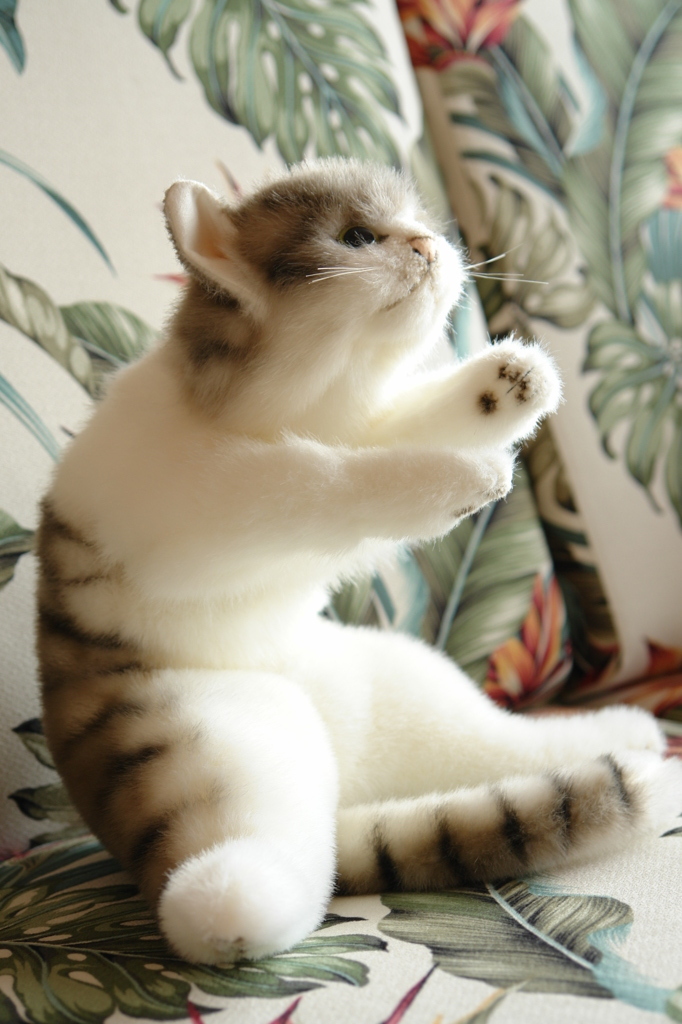 トネと申します