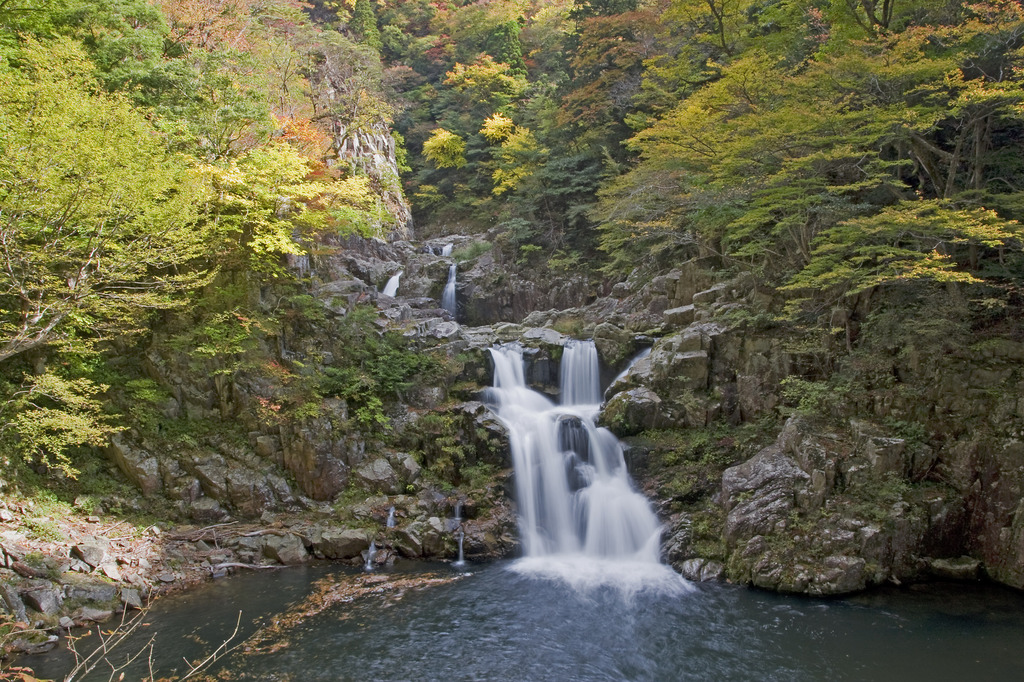 紅葉の滝