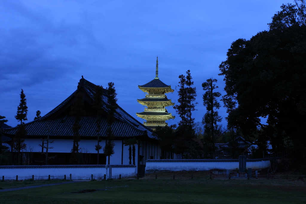 薄昏の五重塔