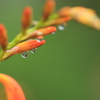 雨上がり