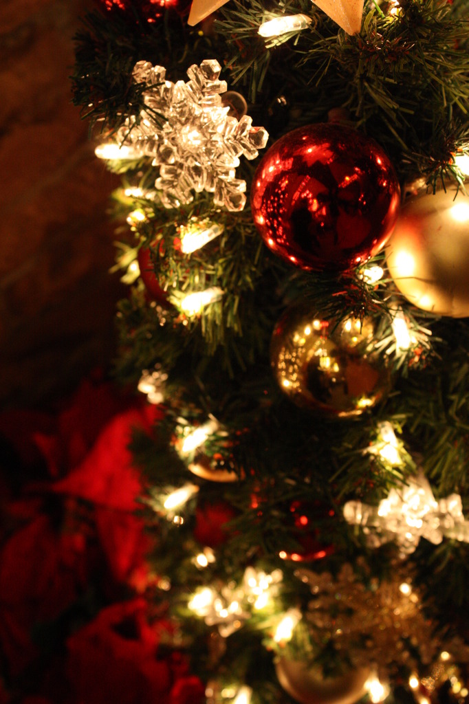 2009Christmas