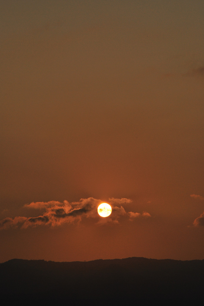 noTitle
