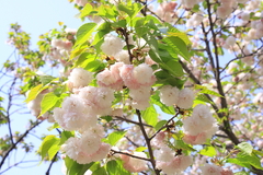 通り抜け
