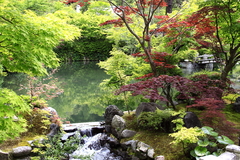 永観堂