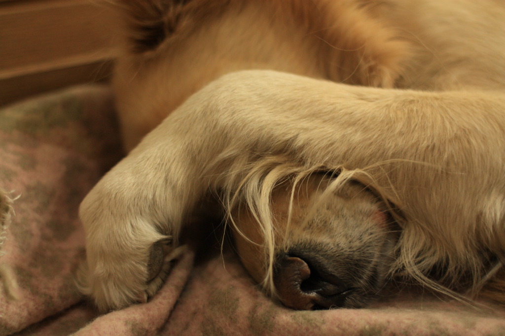 zzz