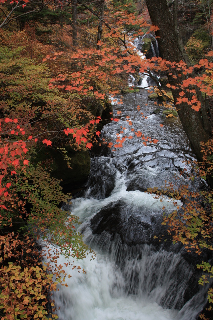 竜頭の滝