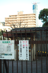 釣り掘り
