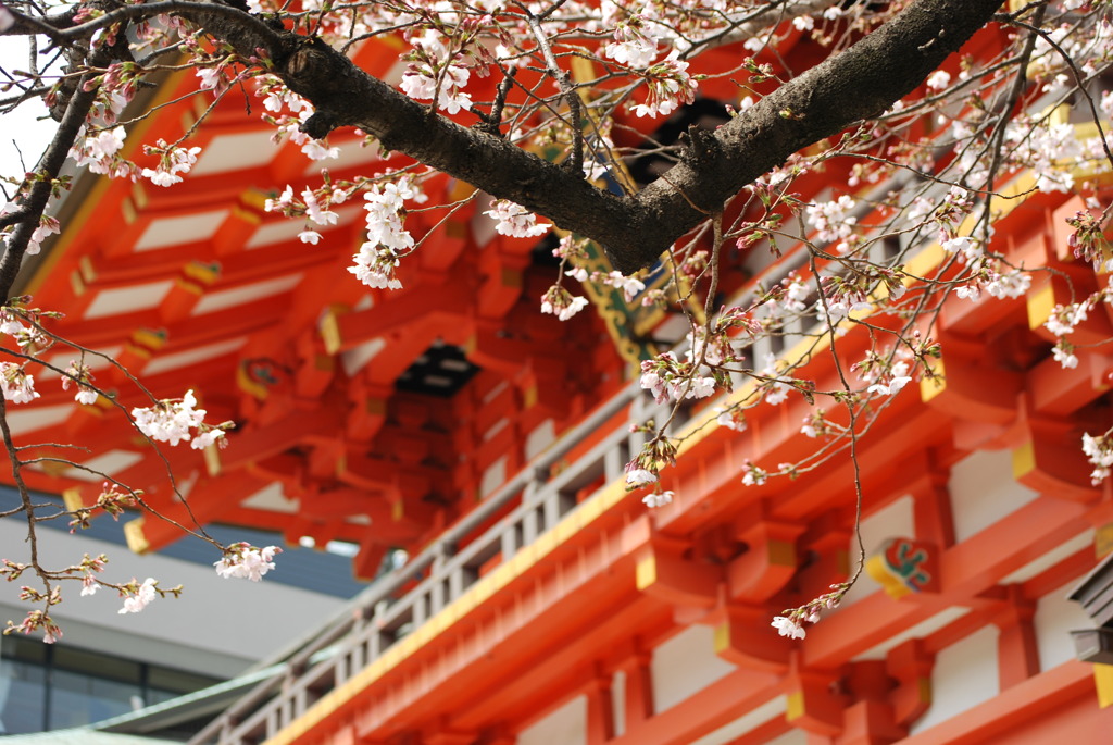 赤の建物と桜がいい感じ