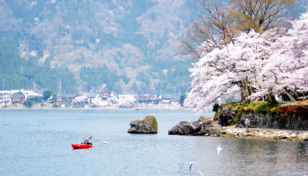 海津大崎