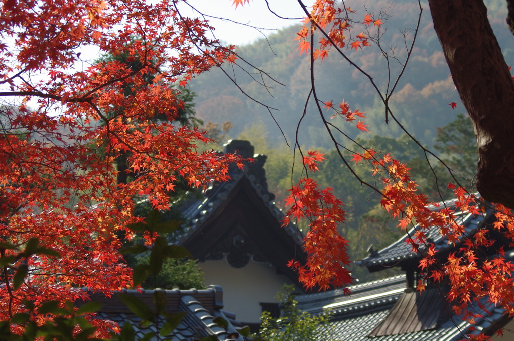光明寺２