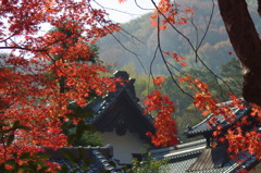 光明寺２