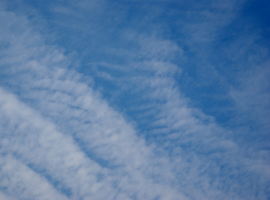 秋の空