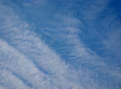 秋の空