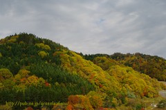 穂別の山