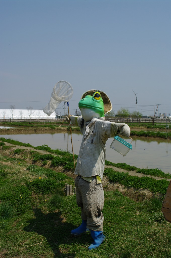 田んぼの番人カエル君