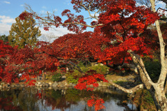 円山公園・紅い池