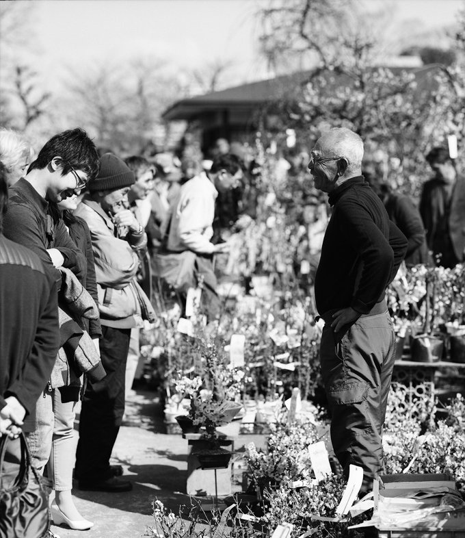 大阪城公園・梅を売るご主人