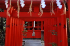 鳥居 京都 寺 