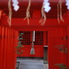 鳥居 京都 寺 