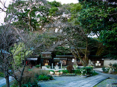 京都御苑 2