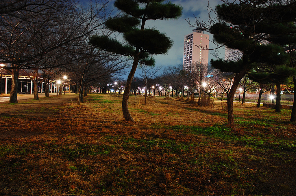 大阪城公園