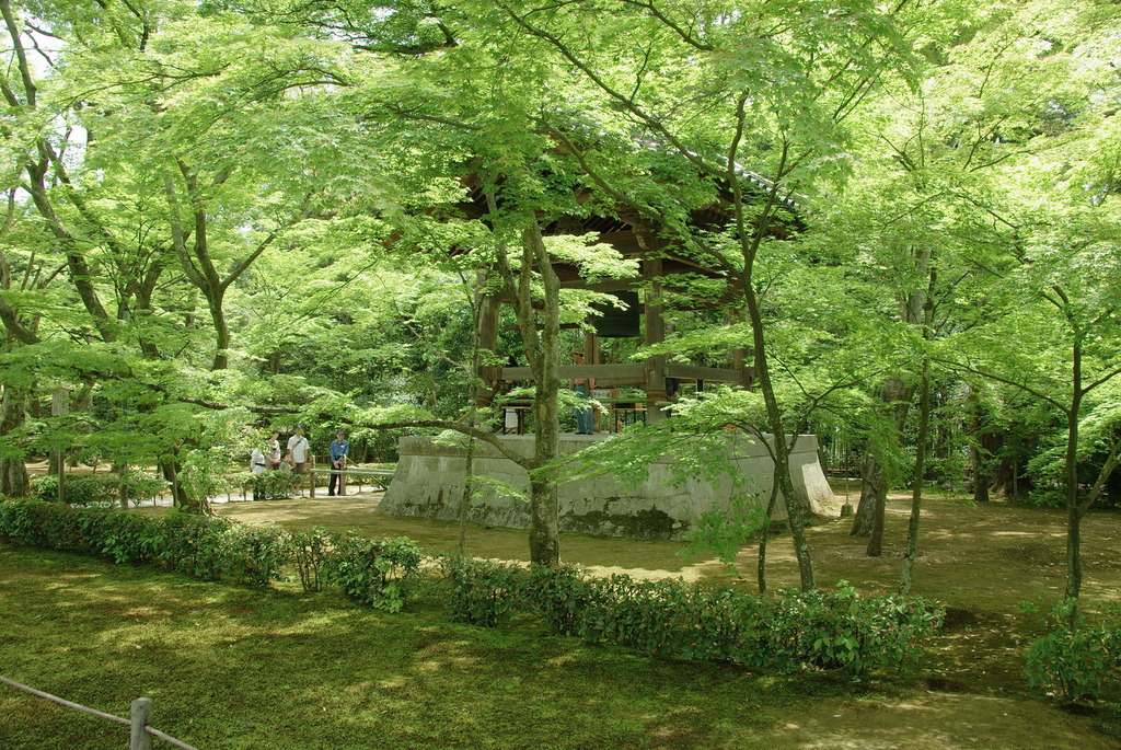 金閣寺の新緑