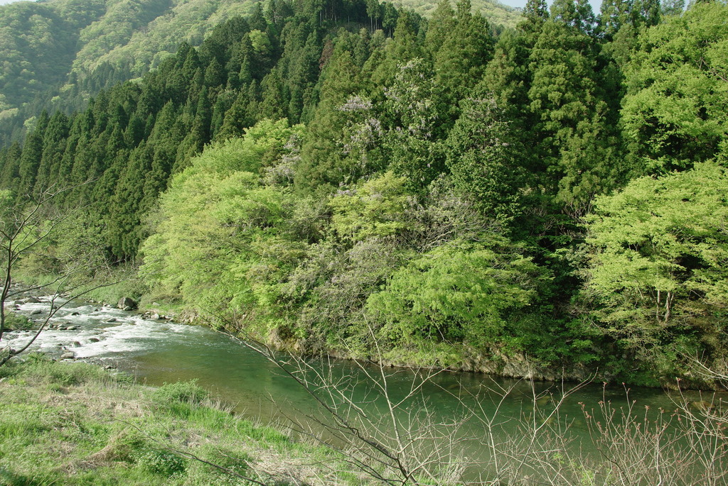 揖斐川