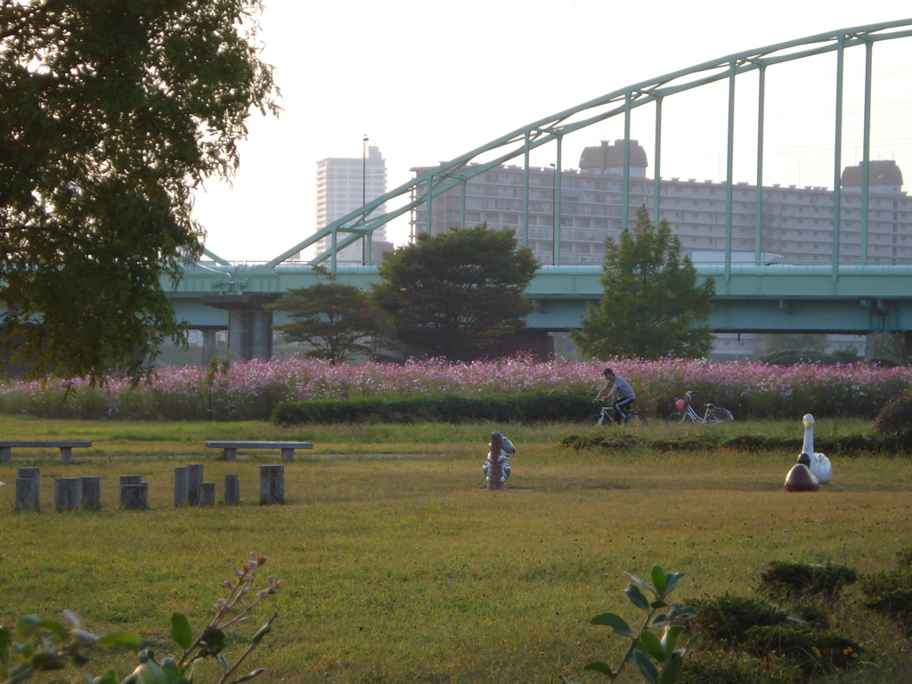 河川敷