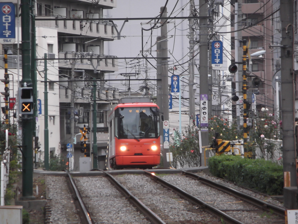 朝の都電